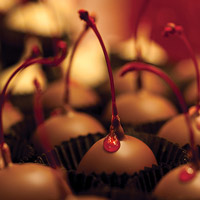 Food photography of a delicious chocolate covered cherry.